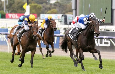 melbourne cup odds tab|Melbourne Cup Odds 2023: Vauban The Favourite .
